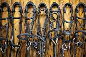Bridle
