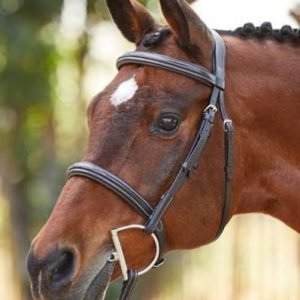 Bridle